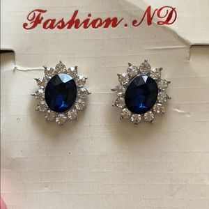 Blue Stud Earrings.
